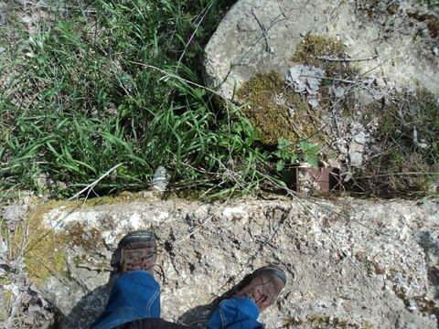 Foto 38